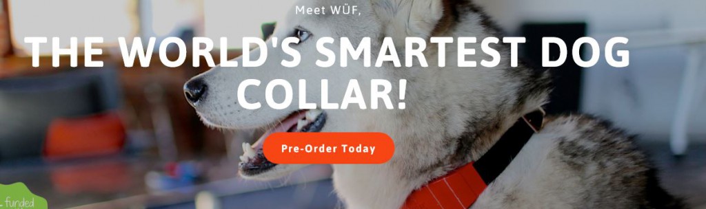 WÜF verspricht, das weltweit erste intelligente Hundehalsband zus ein!